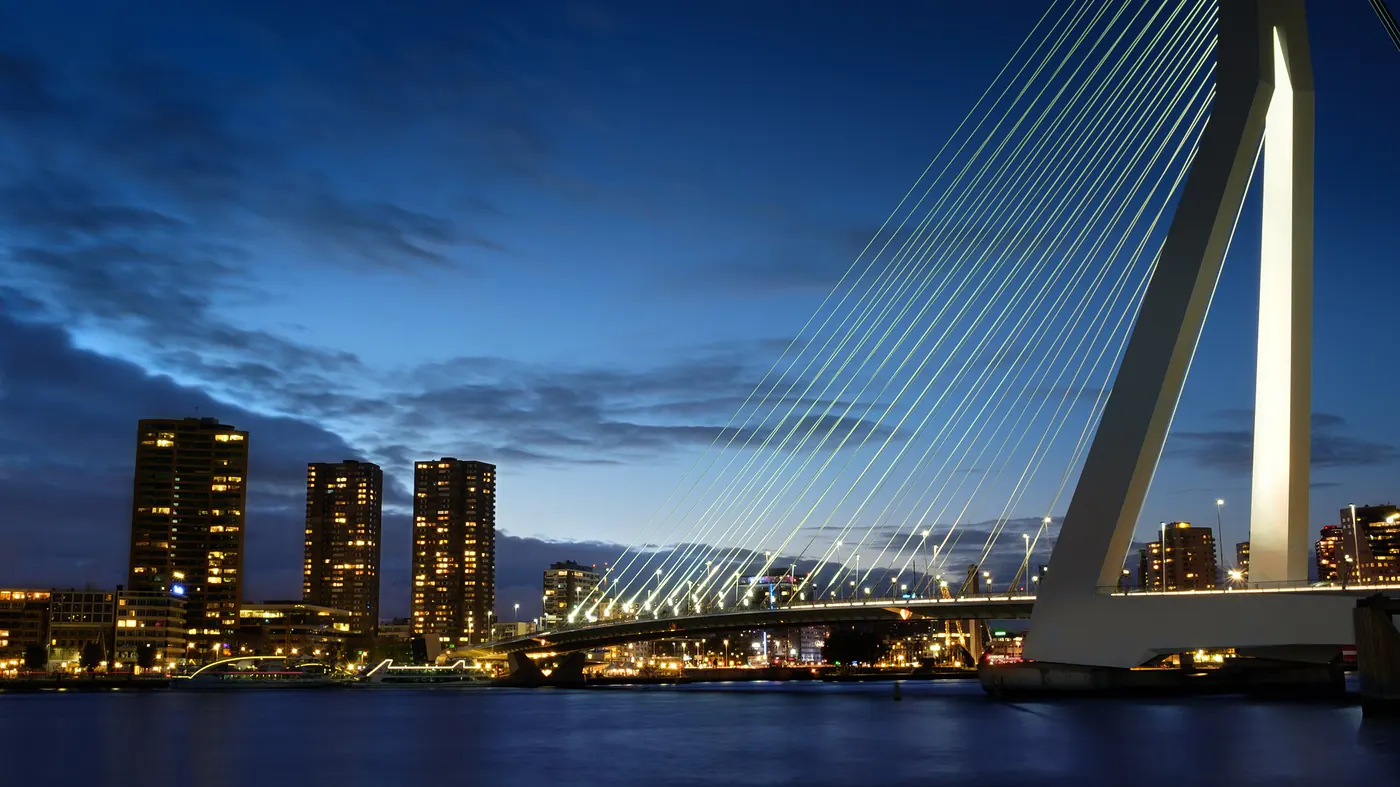 Website design in Rotterdam